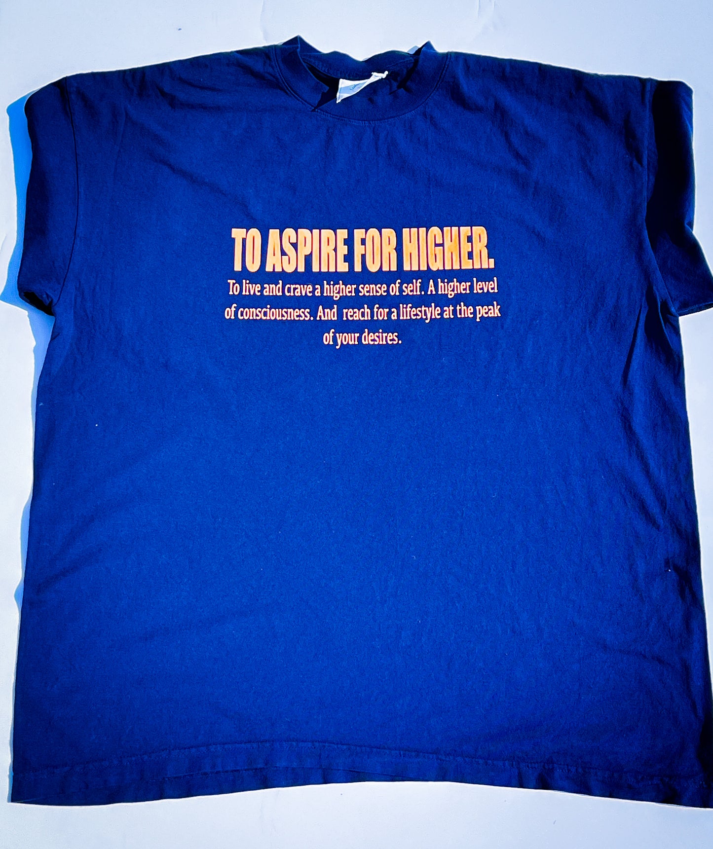 Aspire for Higher Tee (Navy)